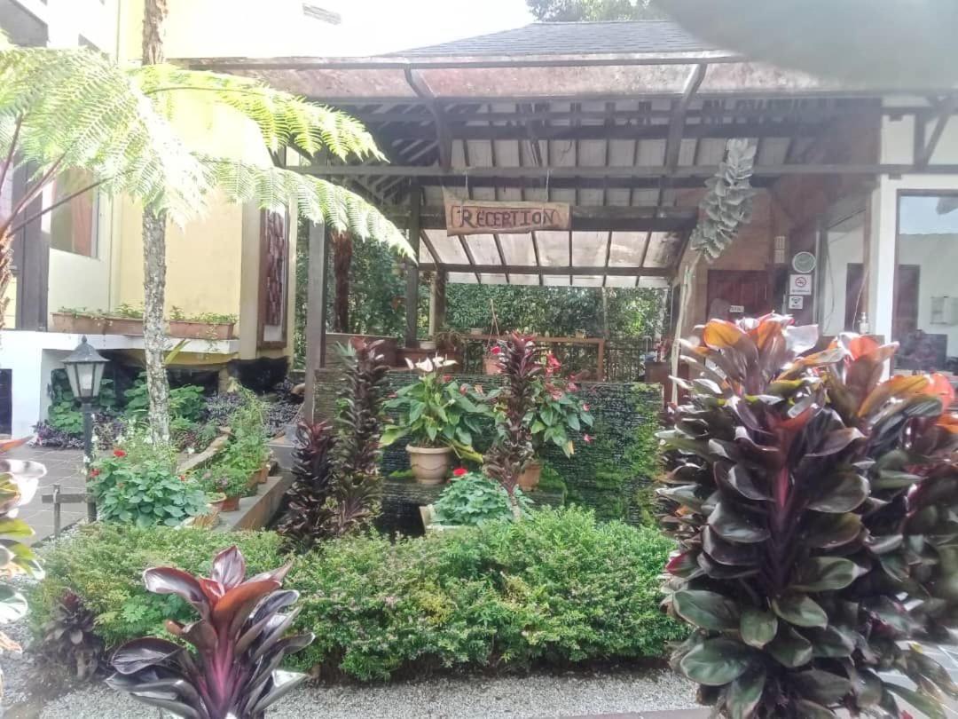 Cahaya Villa 丹那拉打 外观 照片